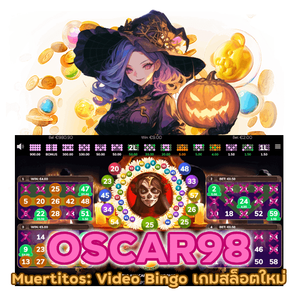 Video Bingo เกมสล็อตใหม่